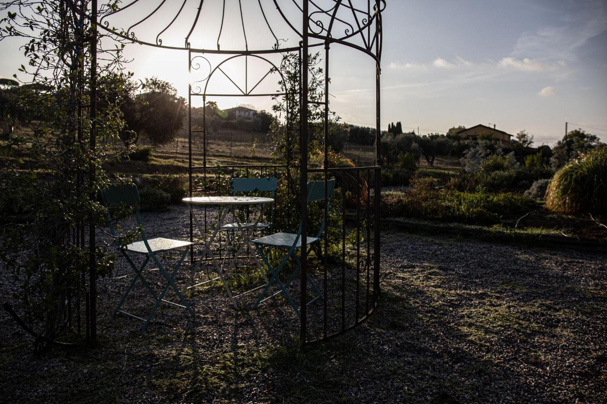 Podere L'agave Séjour à la ferme
