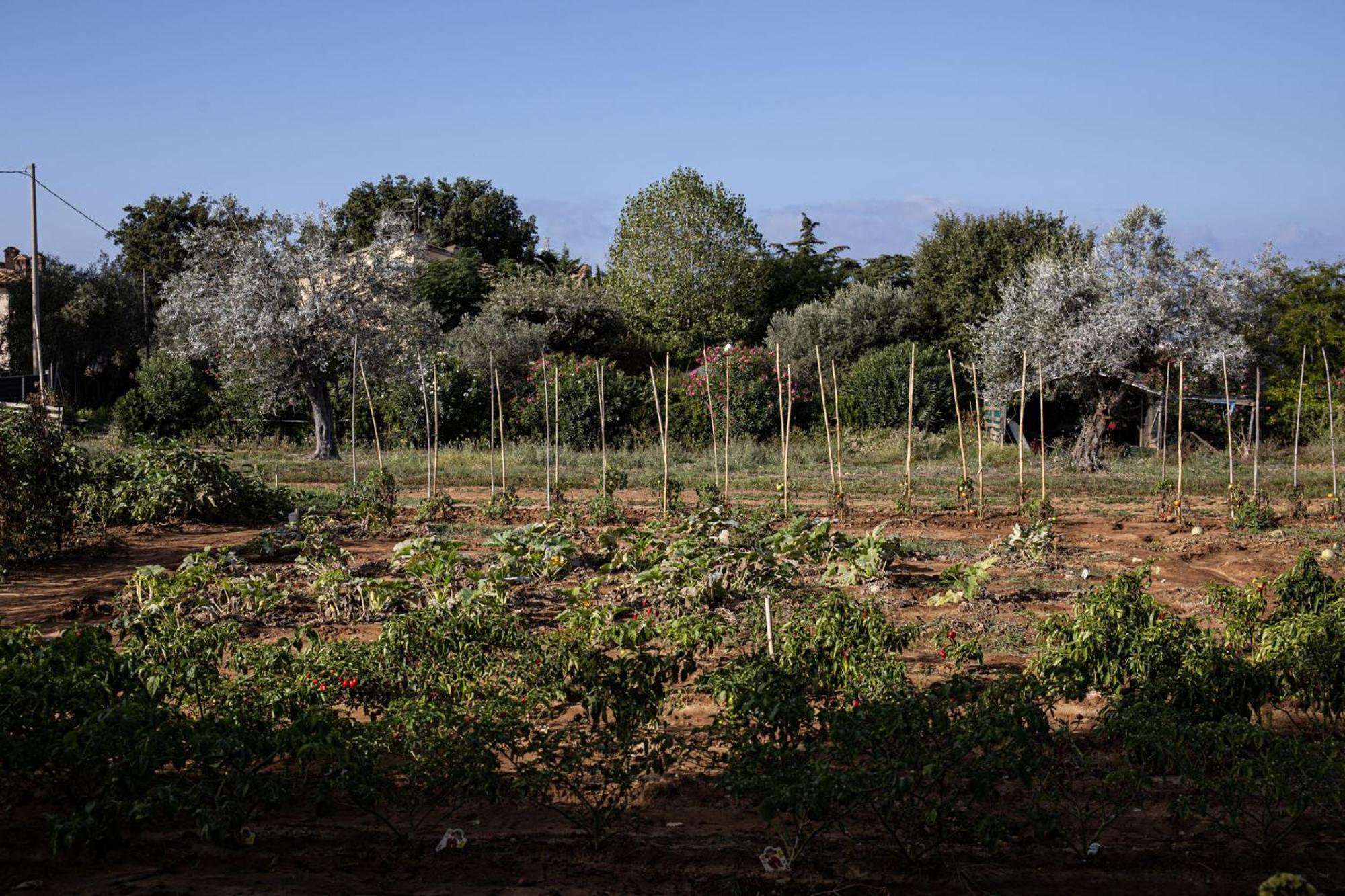 Séjour à la ferme Podere L'agave