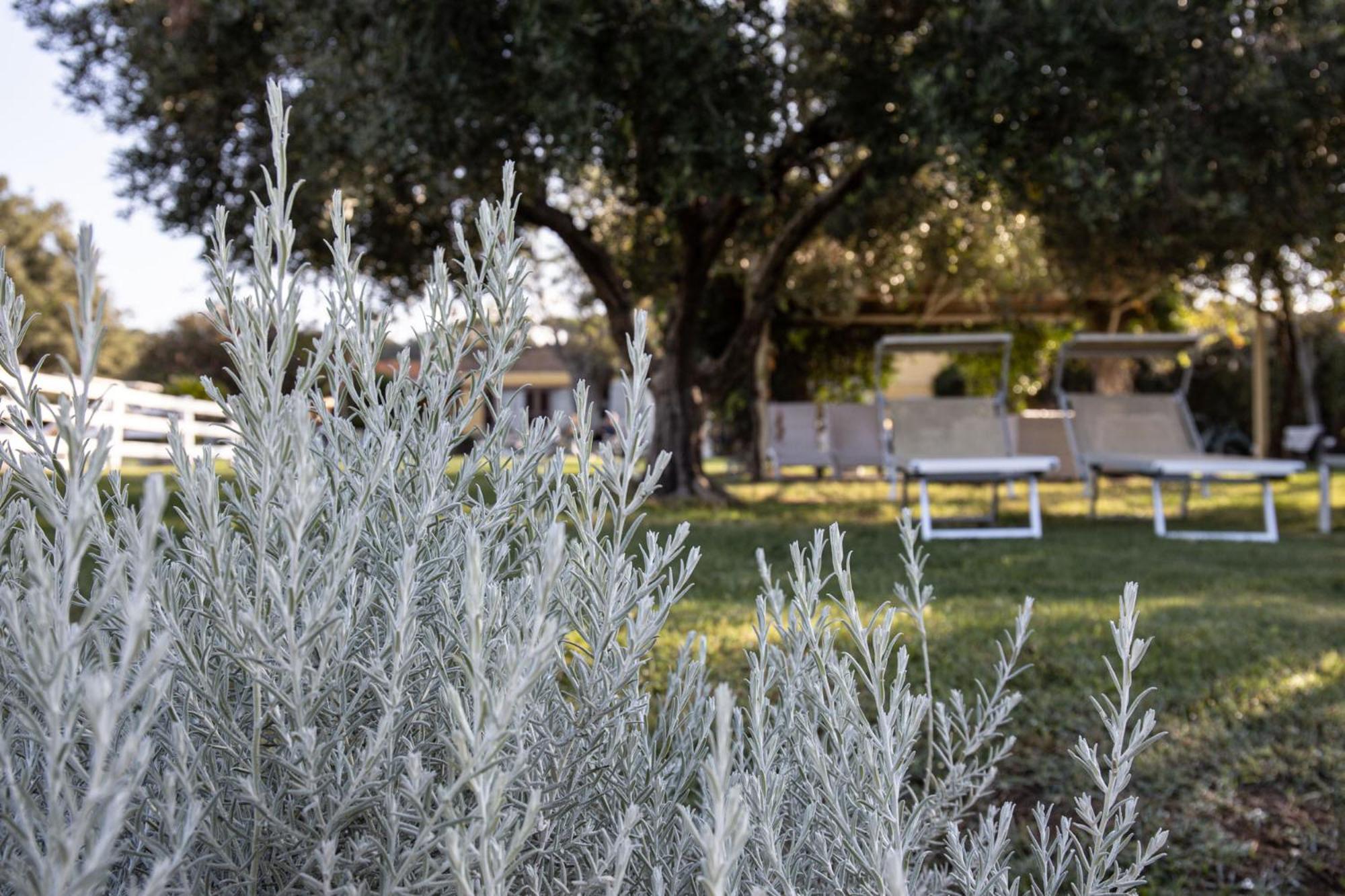 Podere L'agave