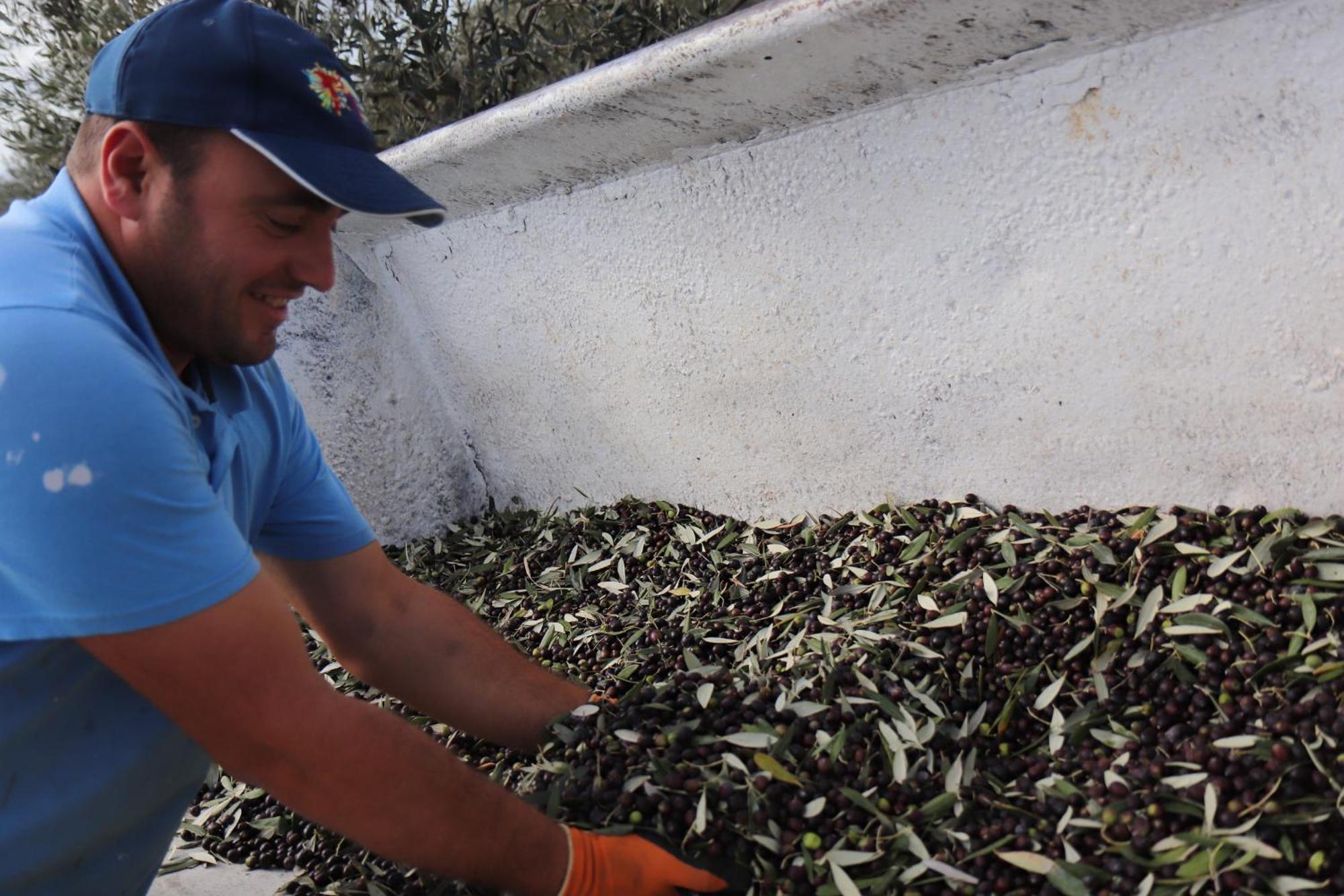 Agroturismo Podere L'agave *