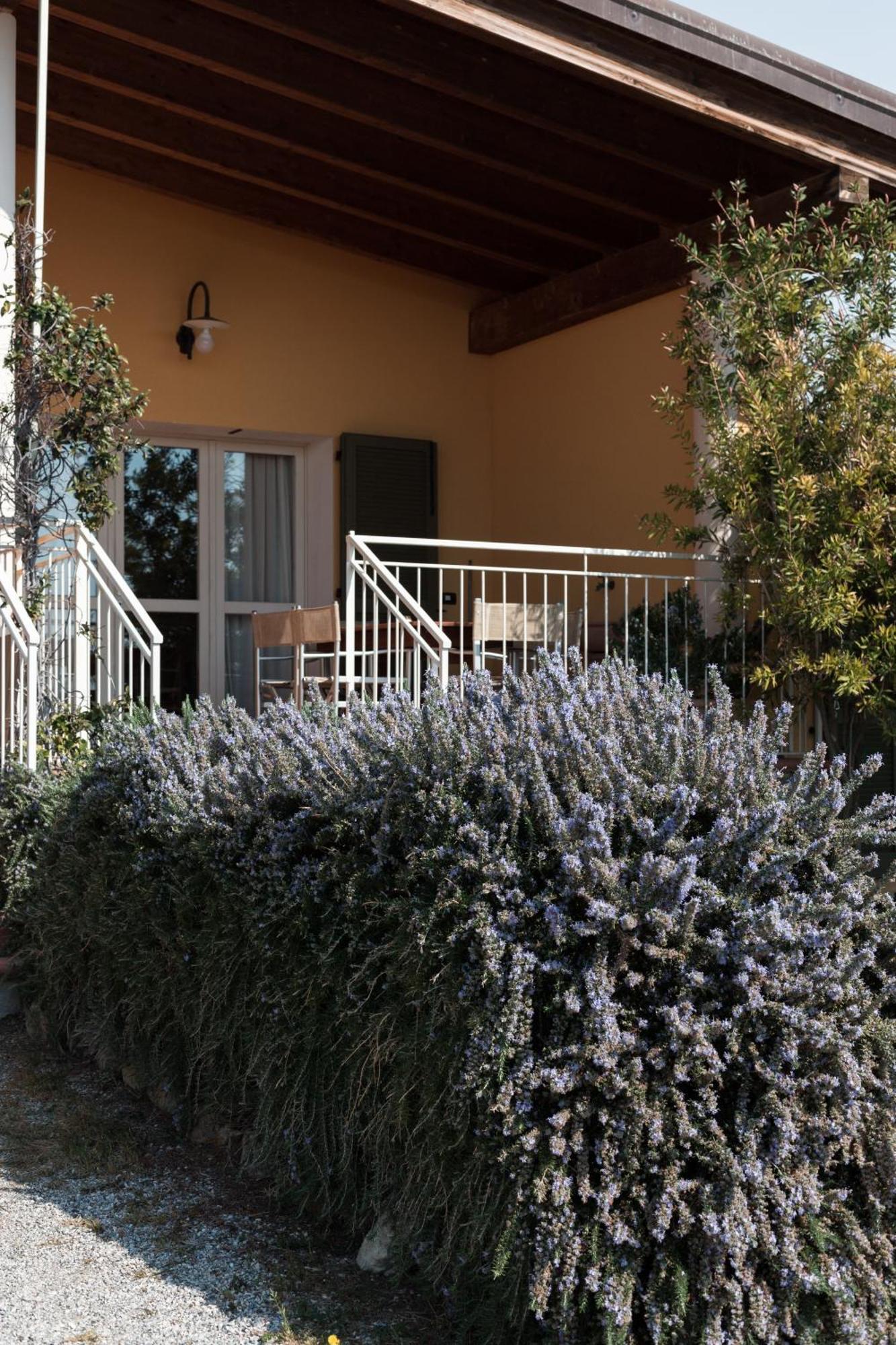Podere L'agave Bauernhof San Vincenzo